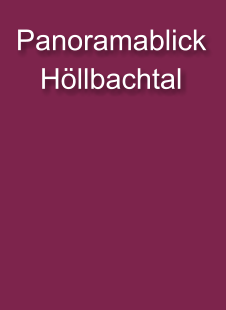 Panoramablick  Höllbachtal